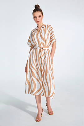 11952311.png 11952311.png